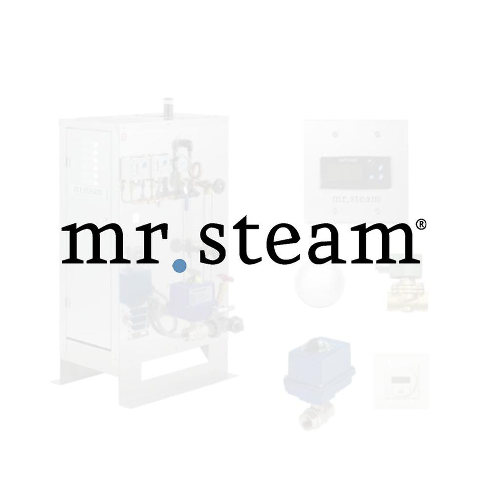 Mr.Steam Commercial