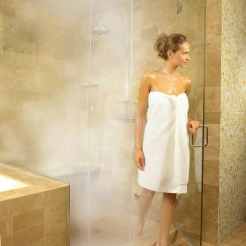 ThermaSol PRO Series II | Advanced Steam Shower Generator w/Fast Start and PowerFlush